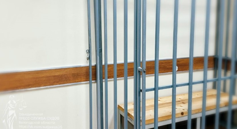 Вологжанин получил «строгача» за нападение на полицейского