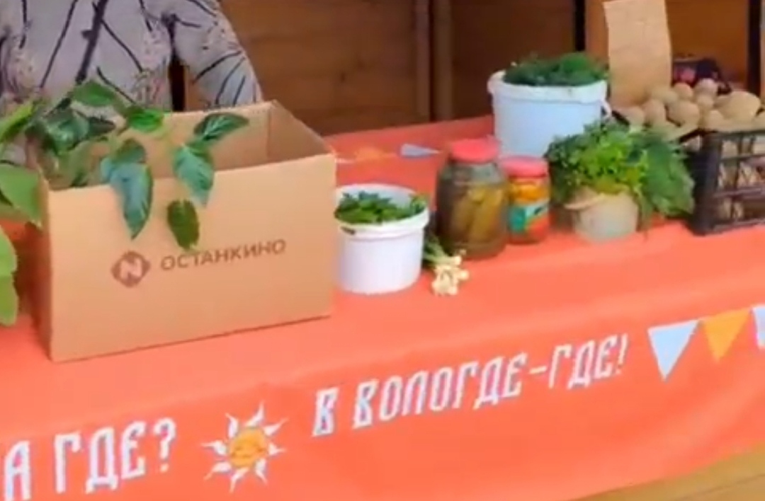 Домики