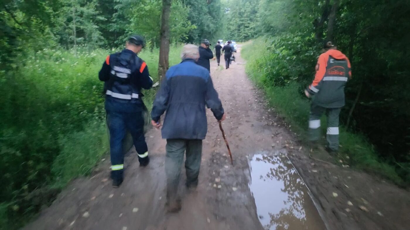 Лес