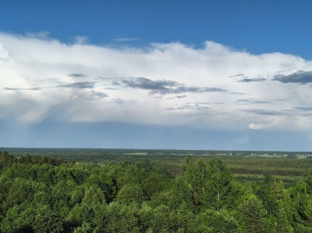 Погода