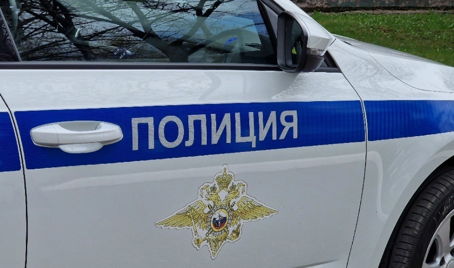 Восьмилетняя череповчанка и её мама стали жертвами преступников