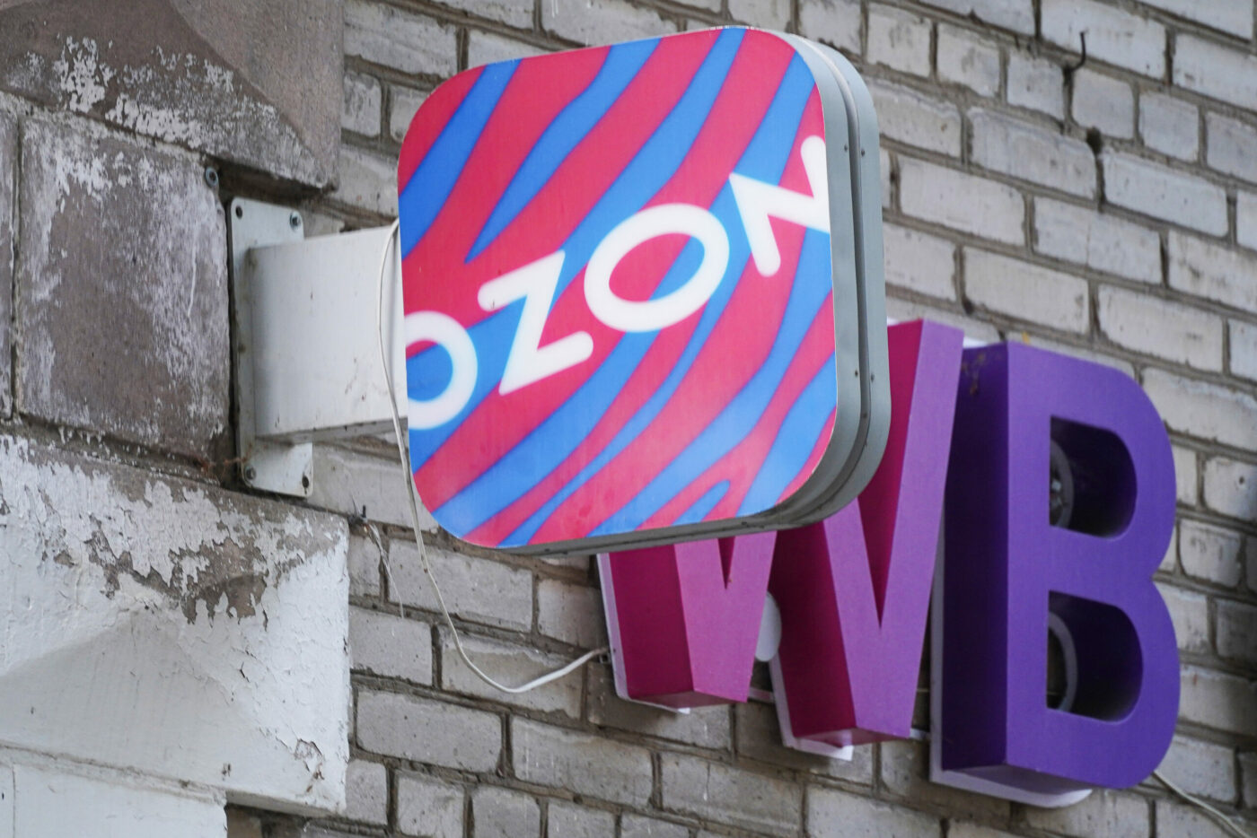 OZON и Wildberries могут перейти под управление государства