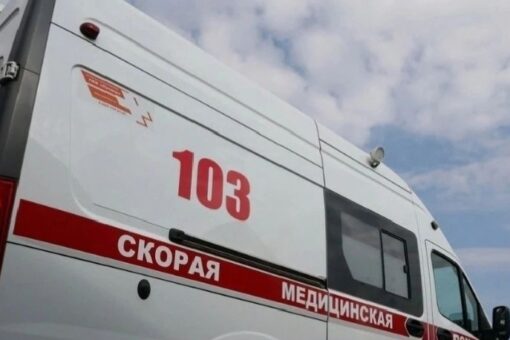 Двоих вологжан в выходные покусали змеи