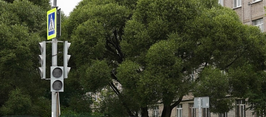 На улице Чернышевского стало больше светофоров