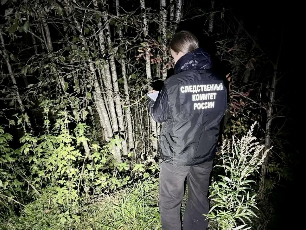 Лес