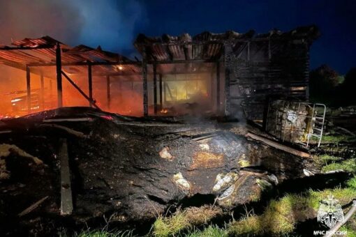 Более 20 животных сгорели в хлеву на востоке Вологодской области