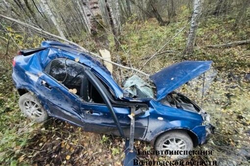 Два человека за день погибли в кюветах