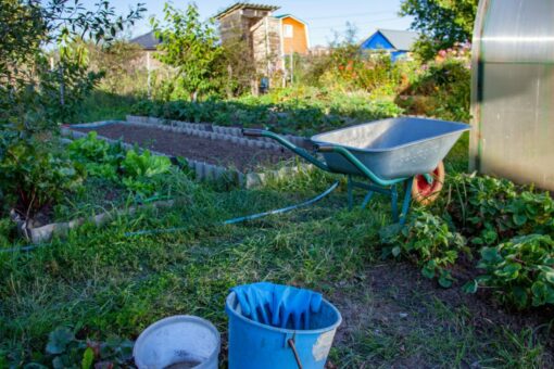Дача в октябре: 6 обязательных дел для богатого урожая в новом сезоне