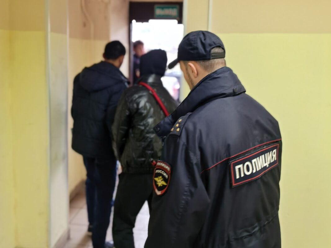 Мигранты