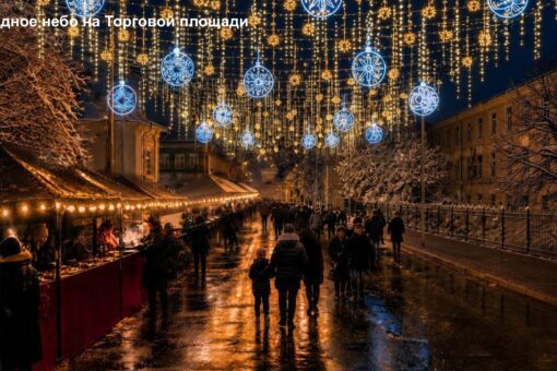 Глава Вологды рассказал, какие места украсит «Звездное небо»