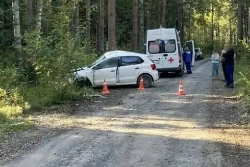 Названы муниципалитеты Вологодской области, где растёт число ДТП с участием детей