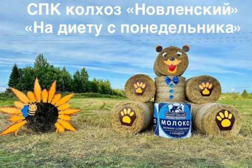 Медведь с гигантской банкой сгущенки победил в конкурсе арт-объектов