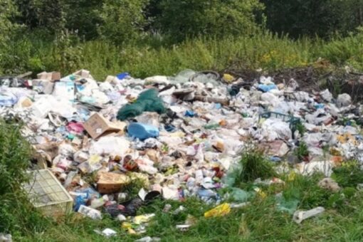 Вологжане устроили несанкционированные свалки отходов на площади 3,5 гектара