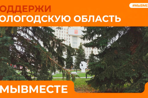 Вологодским волонтерам не хватает голосов для победы