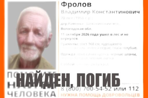 Пропавшего в лесу вологжанина нашли погибшим